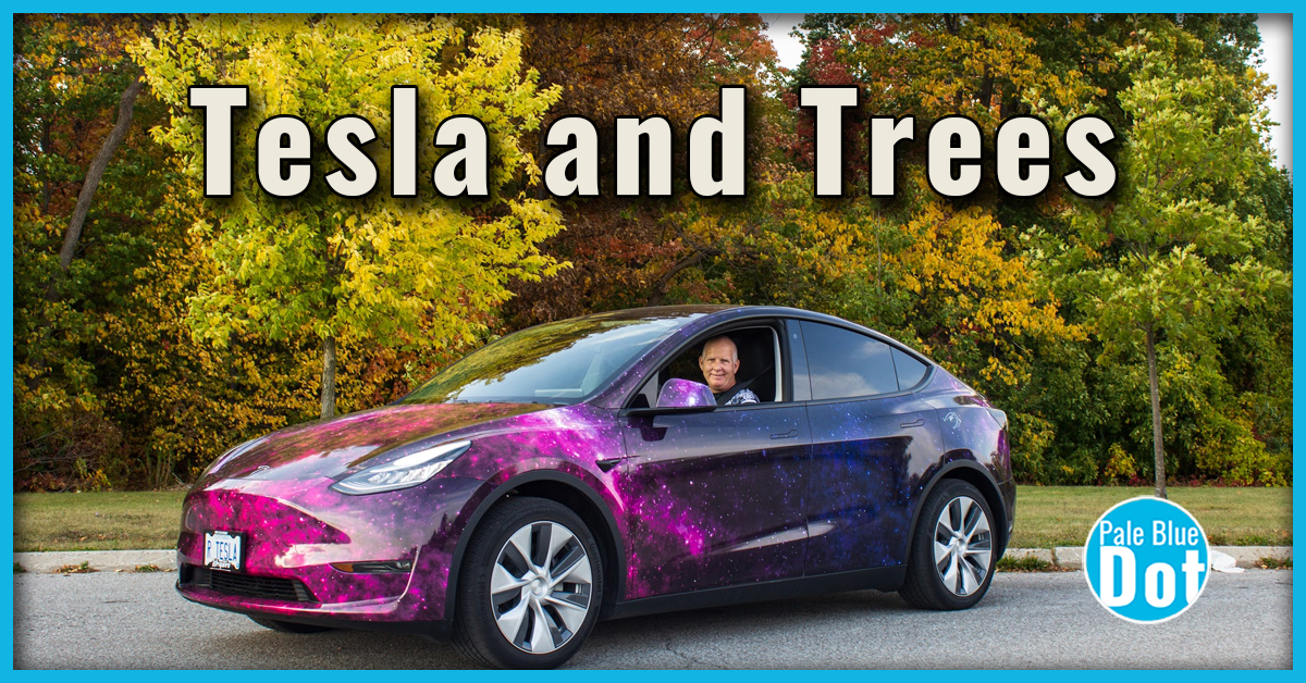 Tesla and Trees